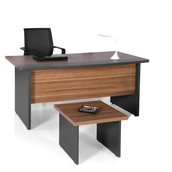 Artek Çalışma Masası