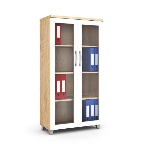 160 cm Tam Camlı Kapaklı Dosya Dolabı