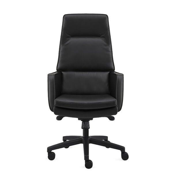 Kruz Yönetici Koltuğu