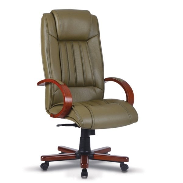 Megane Yönetici Makam Koltuğu