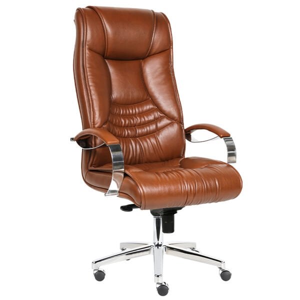 Poli Yönetici Koltuğu