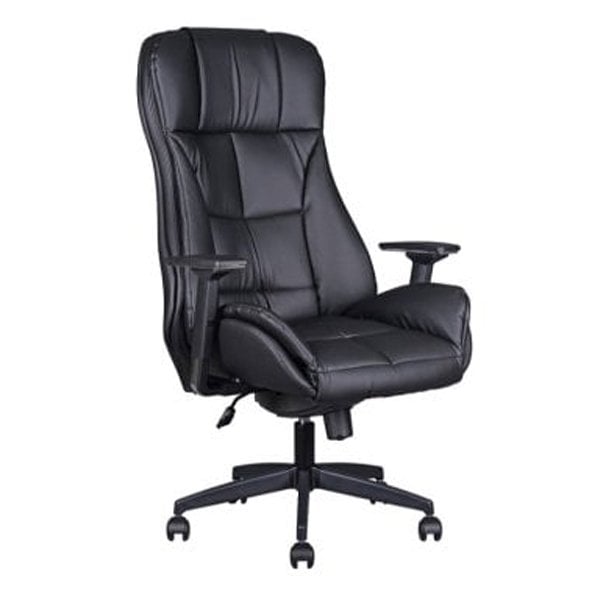 Lord Yönetici Koltuğu