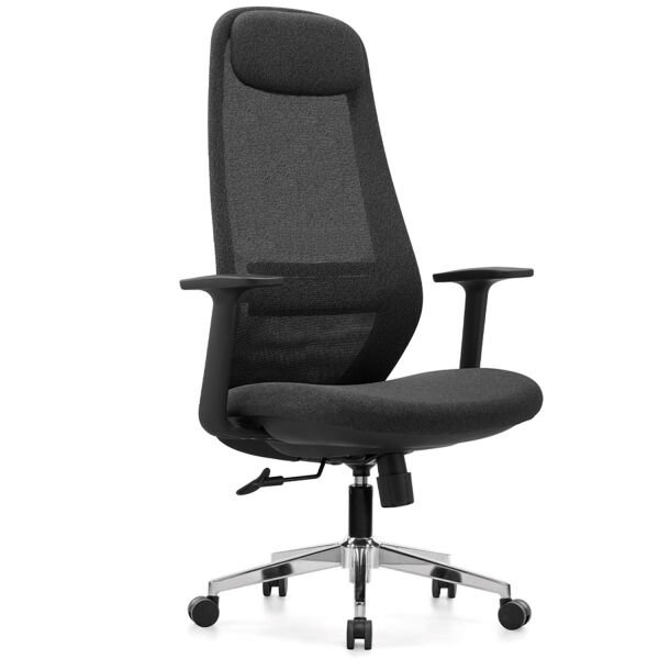 Anka Fileli Müdür Koltuğu